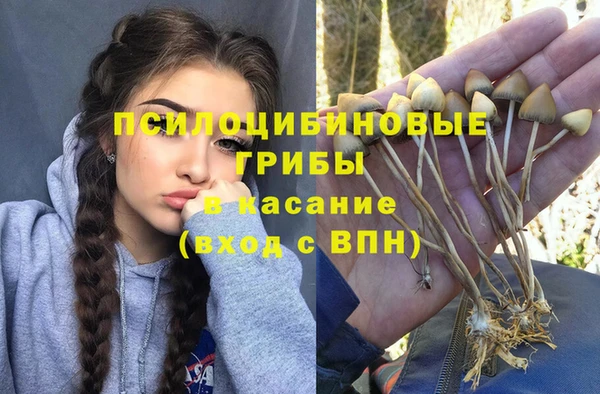 шишки Волосово